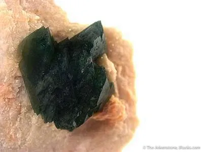 Carbonate-Fluorapatite on Feldspar - $300 -Sh) - image 2