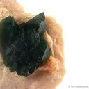 Carbonate-Fluorapatite on Feldspar - $300 -Sh) - image 2