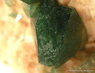Carbonate-Fluorapatite on Feldspar - image 2