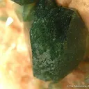 Carbonate-Fluorapatite on Feldspar - image 2