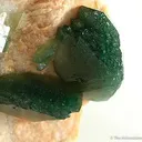 Carbonate-Fluorapatite on Feldspar - image 2