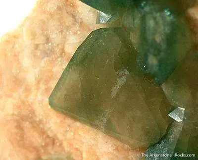 Carbonate-Fluorapatite on Feldspar - image 3