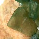 Carbonate-Fluorapatite on Feldspar - image 3