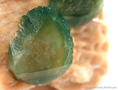 Carbonate-Fluorapatite on Feldspar - image 2