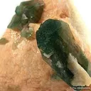 Carbonate-Fluorapatite on Feldspar - image 2