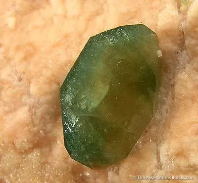 Carbonate-Fluorapatite on Feldspar - image 2
