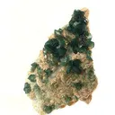 Carbonate-Fluorapatite on Feldspar - image 1