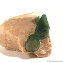 Carbonate-Fluorapatite on Feldspar - image 1