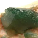 Carbonate-Fluorapatite on Feldspar - image 2