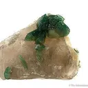 Carbonate-Fluorapatite on Quartz - image 1