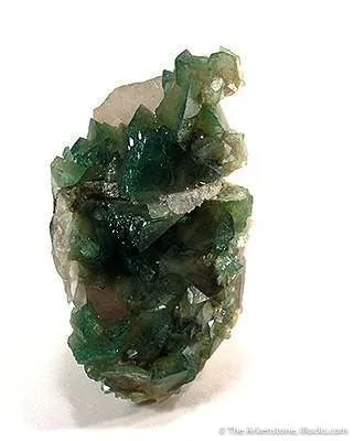 Carbonate-Fluorapatite on Quartz image