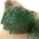 Carbonate-Fluorapatite on Quartz Shard - image 2
