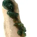 Carbonate-Fluorapatite on Quartz Shard - image 3