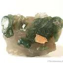 Carbonate-Fluorapatite on Quartz Shard - image 1
