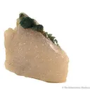 Carbonate-Fluorapatite on Quartz Shard - image 1