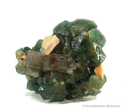Carbonate-Fluorapatite With Quartz image