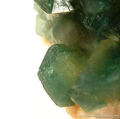 Carbonate-Fluorapatite With Quartz - image 3