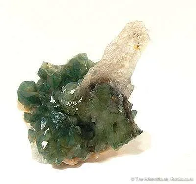 Carbonate-Fluorapatite With Quartz image