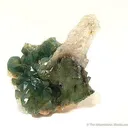 Carbonate-Fluorapatite With Quartz - image 1