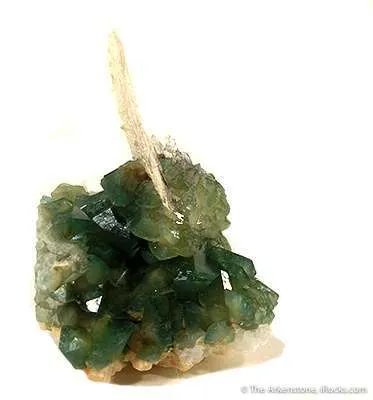 Carbonate-Fluorapatite With Quartz - image 2