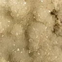 Carbonate-Rich Apatite-(Caf) (Var: Francolite) - image 2