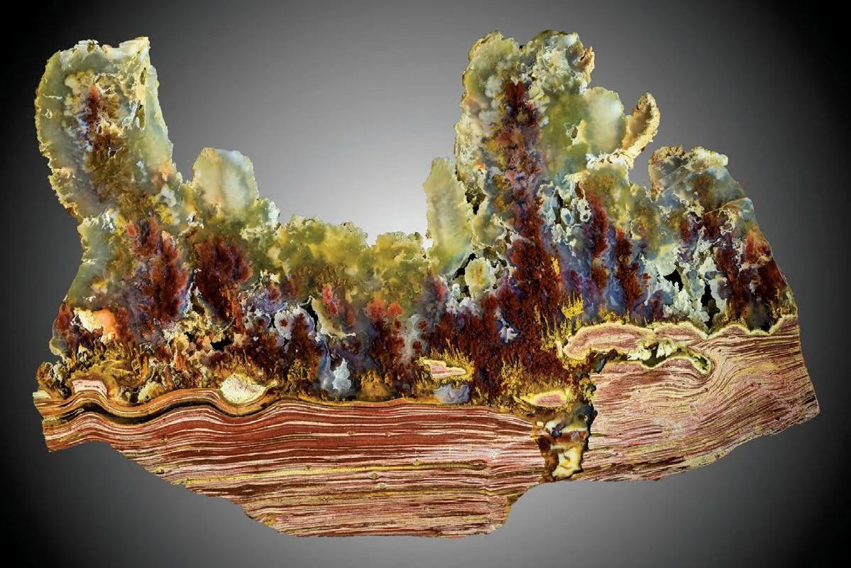 Carey Plume Agate - image 1