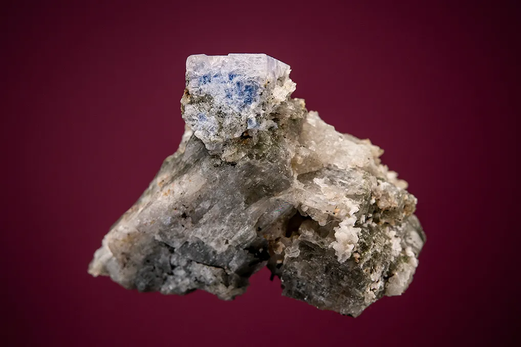 Carletonite on Pectolite image