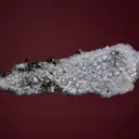 Carletonite on Pectolite - image 3