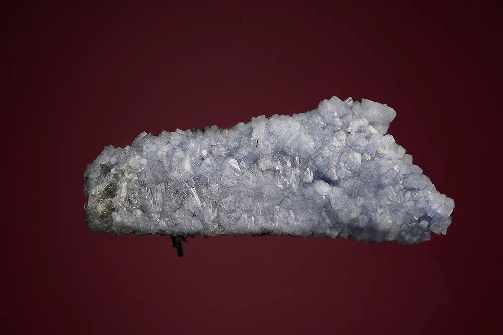 Carletonite on Pectolite - image 2