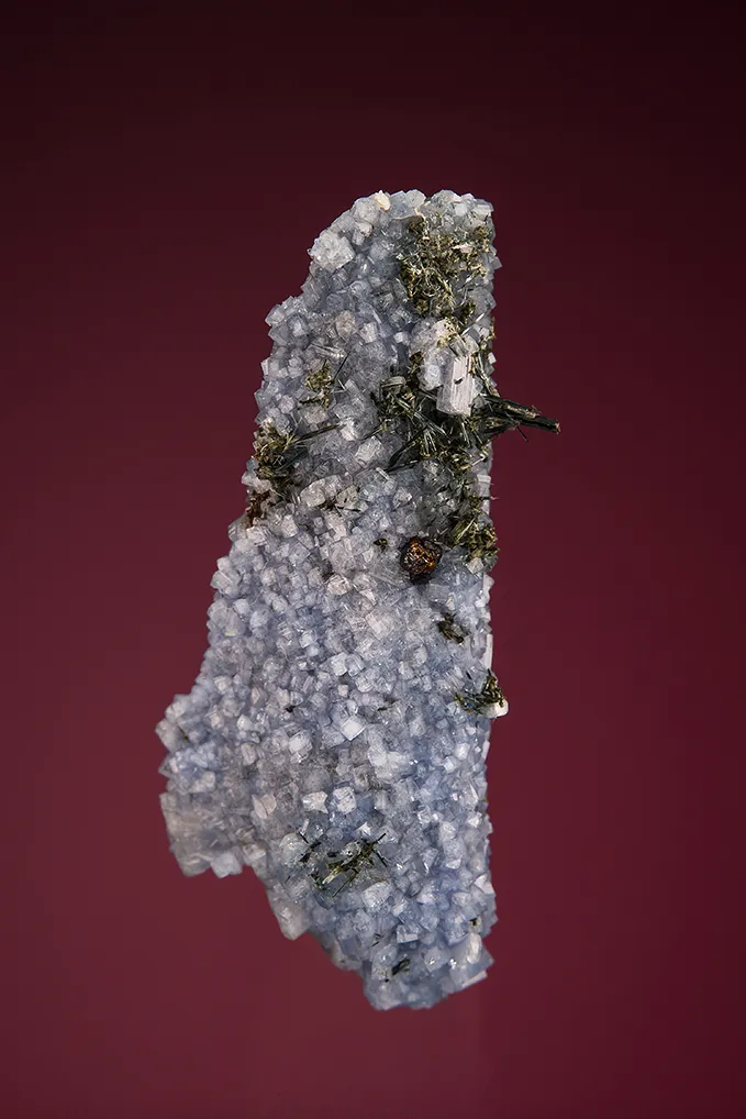Carletonite on Pectolite image