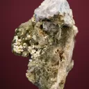 Carletonite on Pectolite - image 5