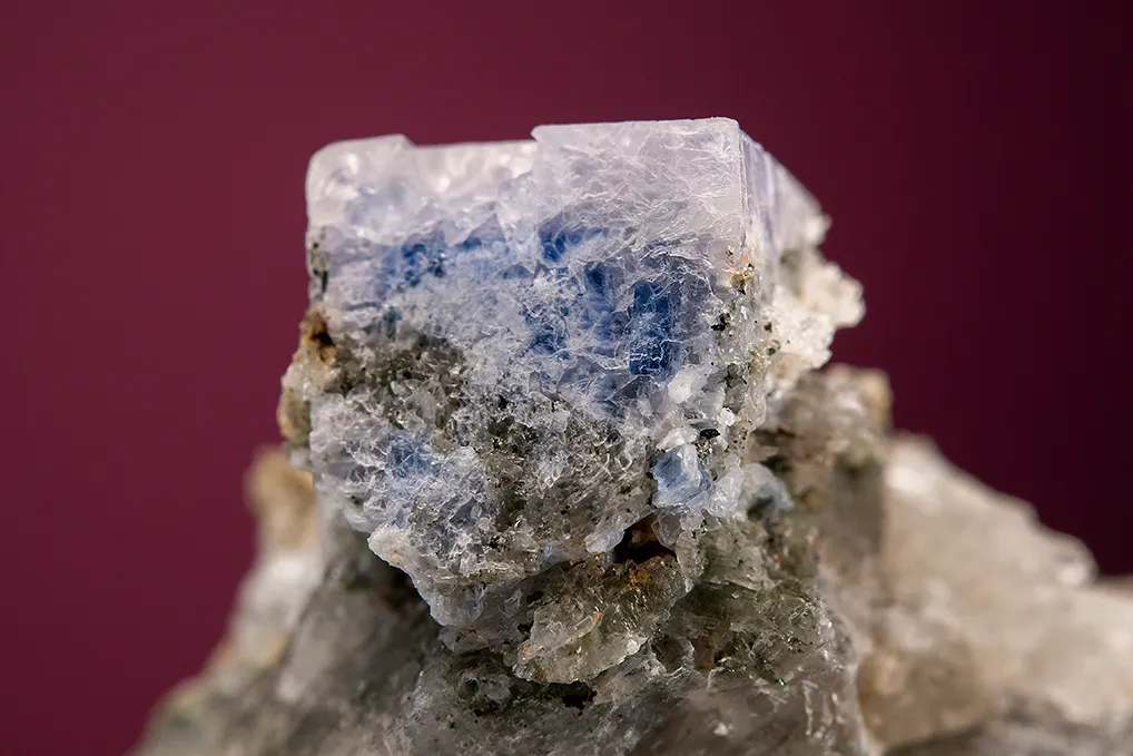 Carletonite on Pectolite - image 2