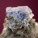 Carletonite on Pectolite - image 2