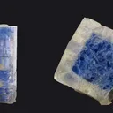 Carletonite (Type Locality) - image 1