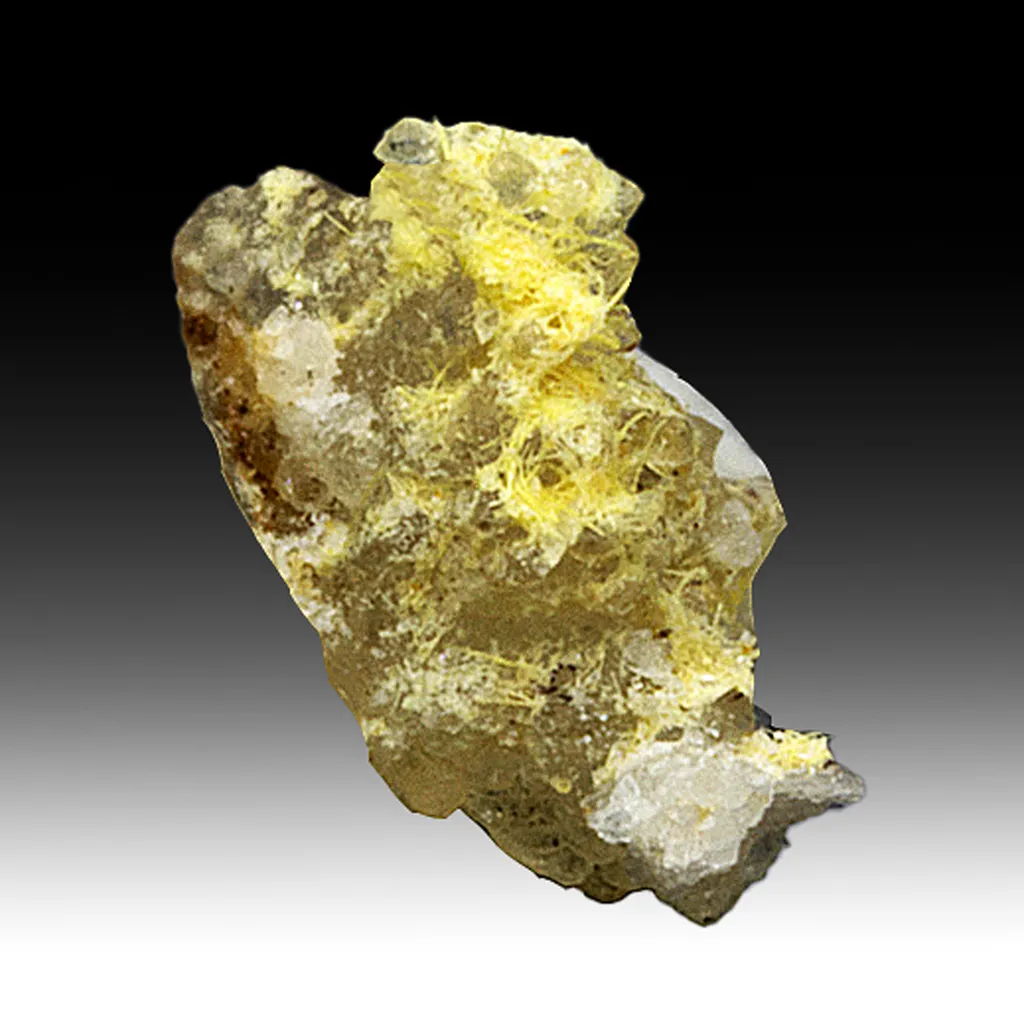 Carlosbarbosaite with Albite image