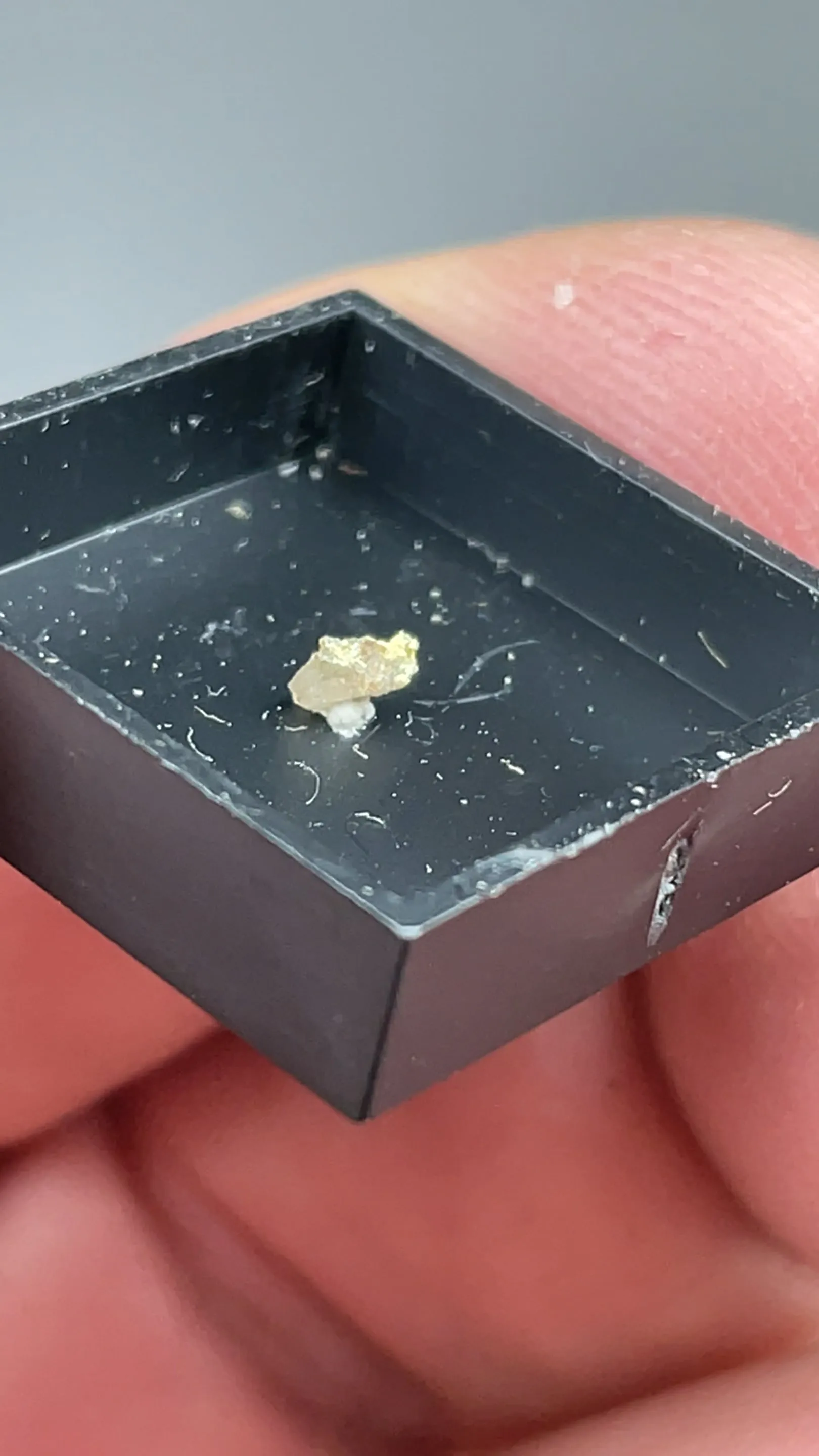 Carlosbarbosaite with Albite - image 2