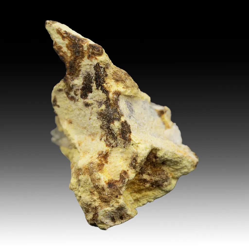 Carlosbarbosaite with Albite image