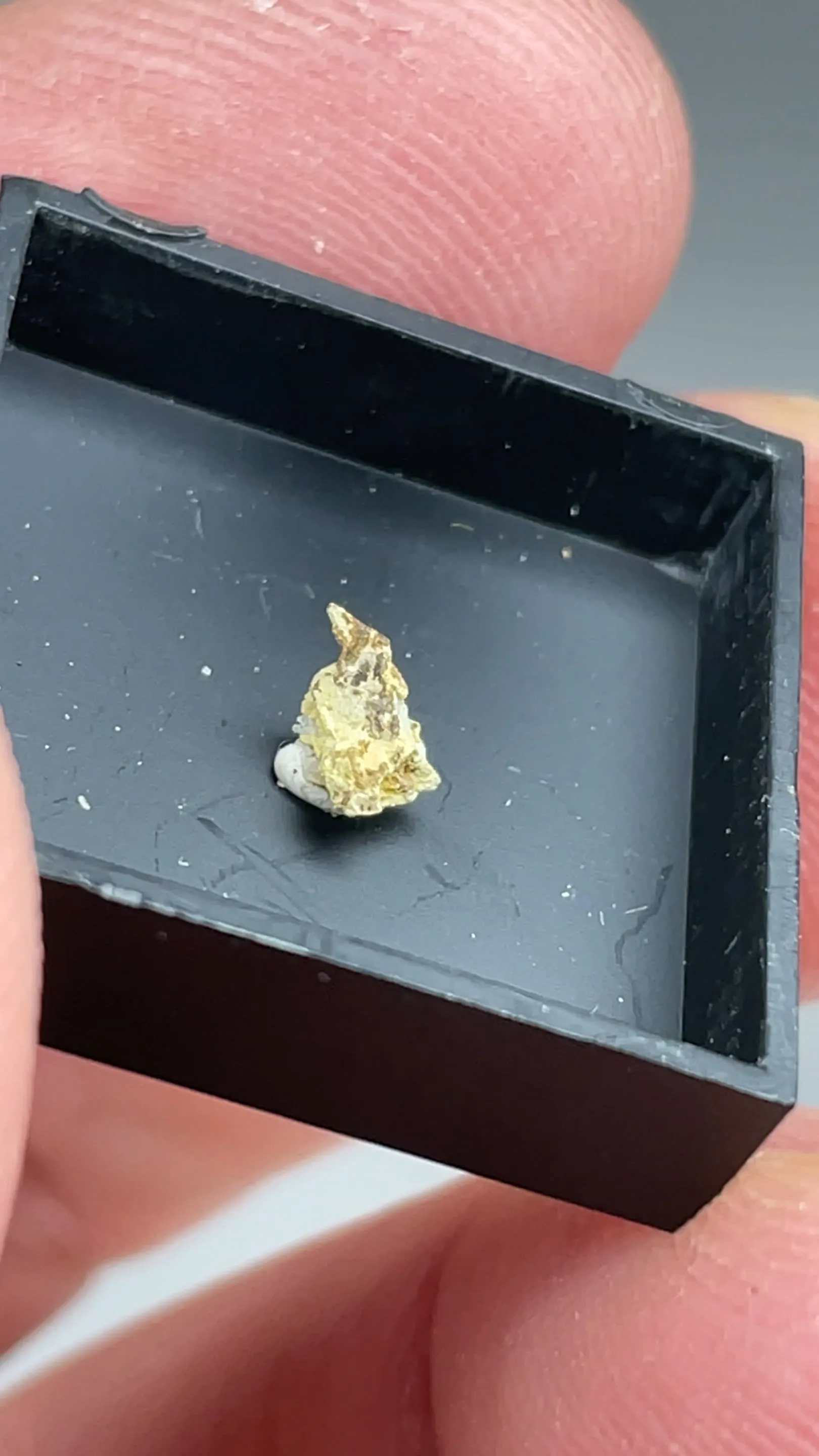 Carlosbarbosaite with Albite - image 2