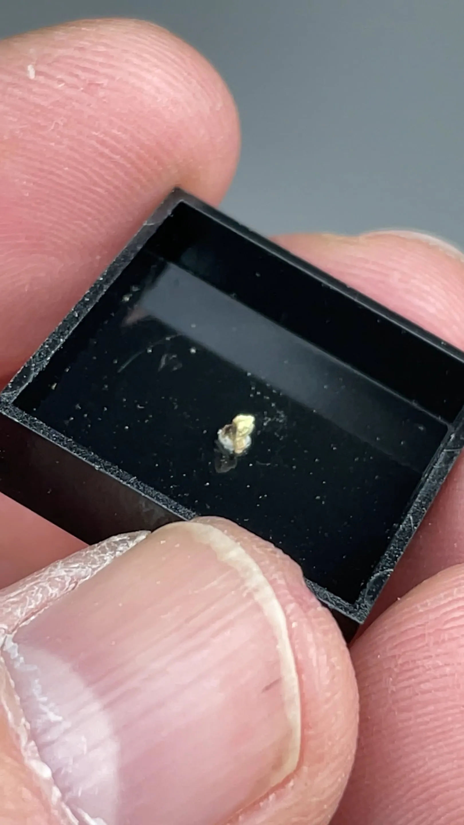 Carlosbarbosaite with Albite - image 2