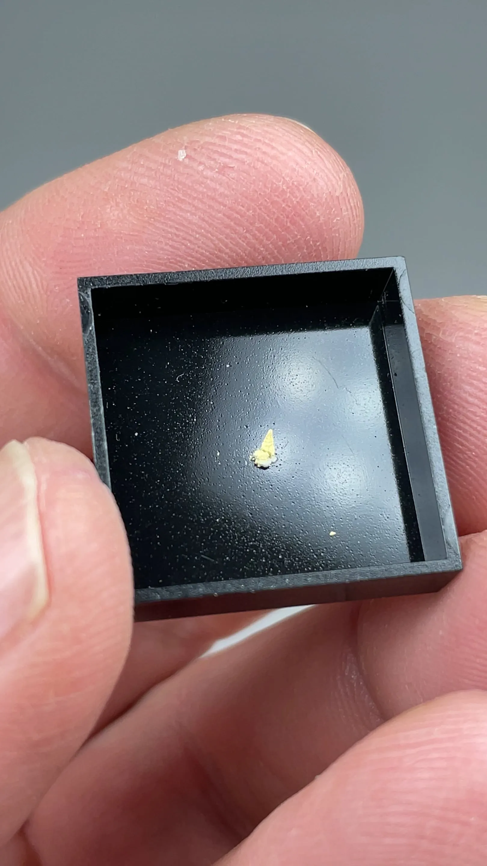 Carlosbarbosaite with Albite - image 2