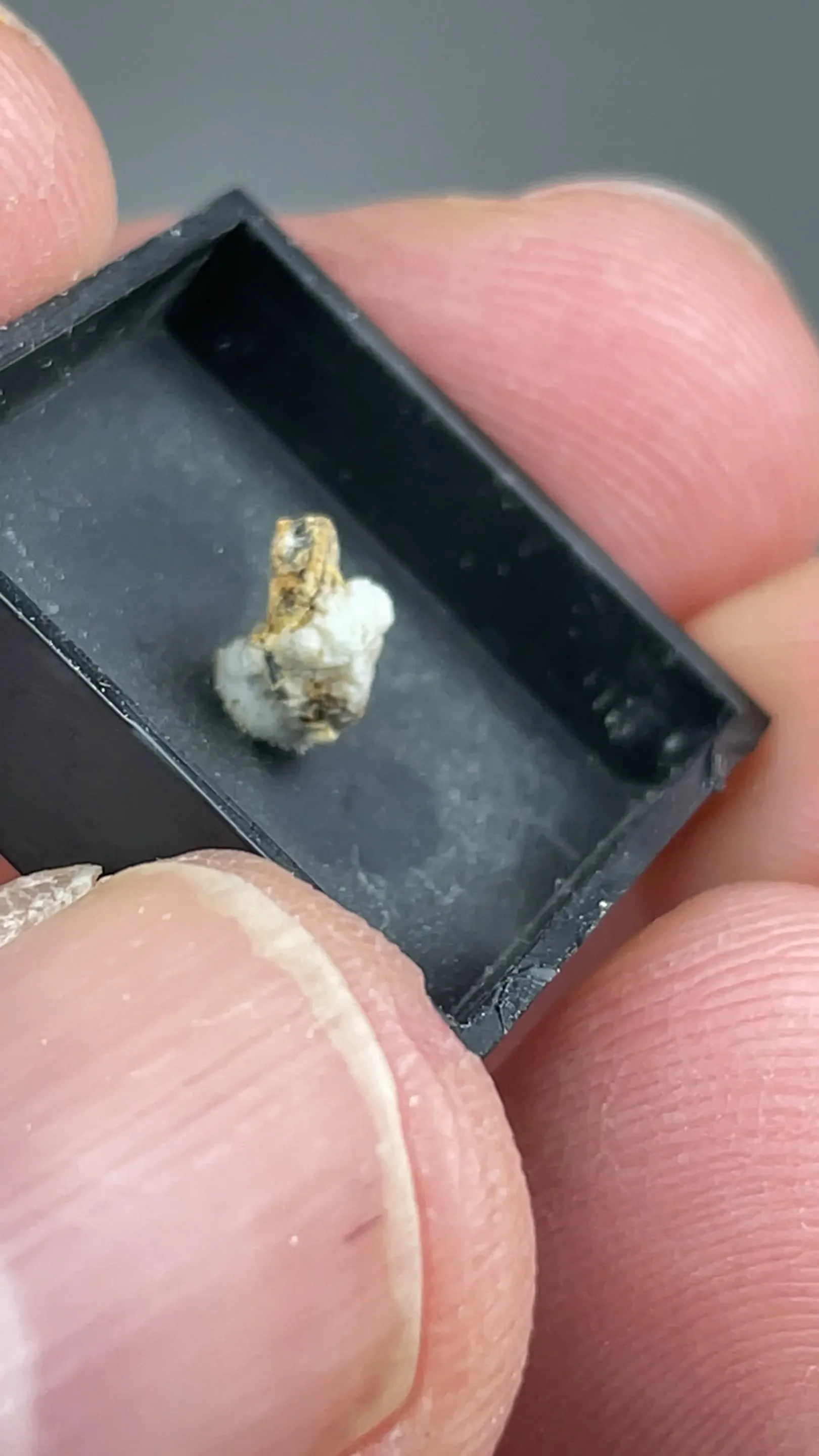 Carlosbarbosaite with Albite - image 2