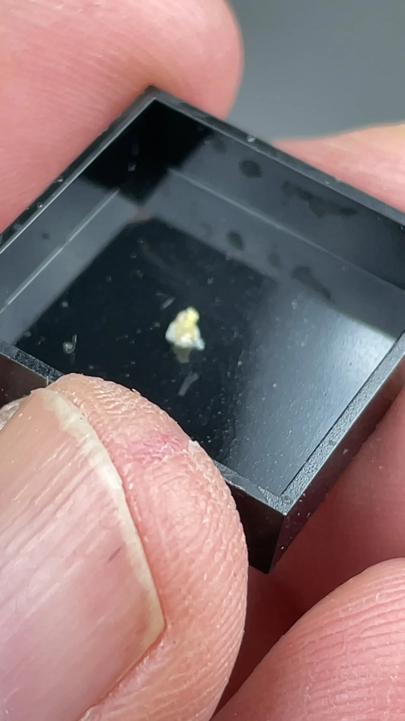 Carlosbarbosaite with Albite - image 2