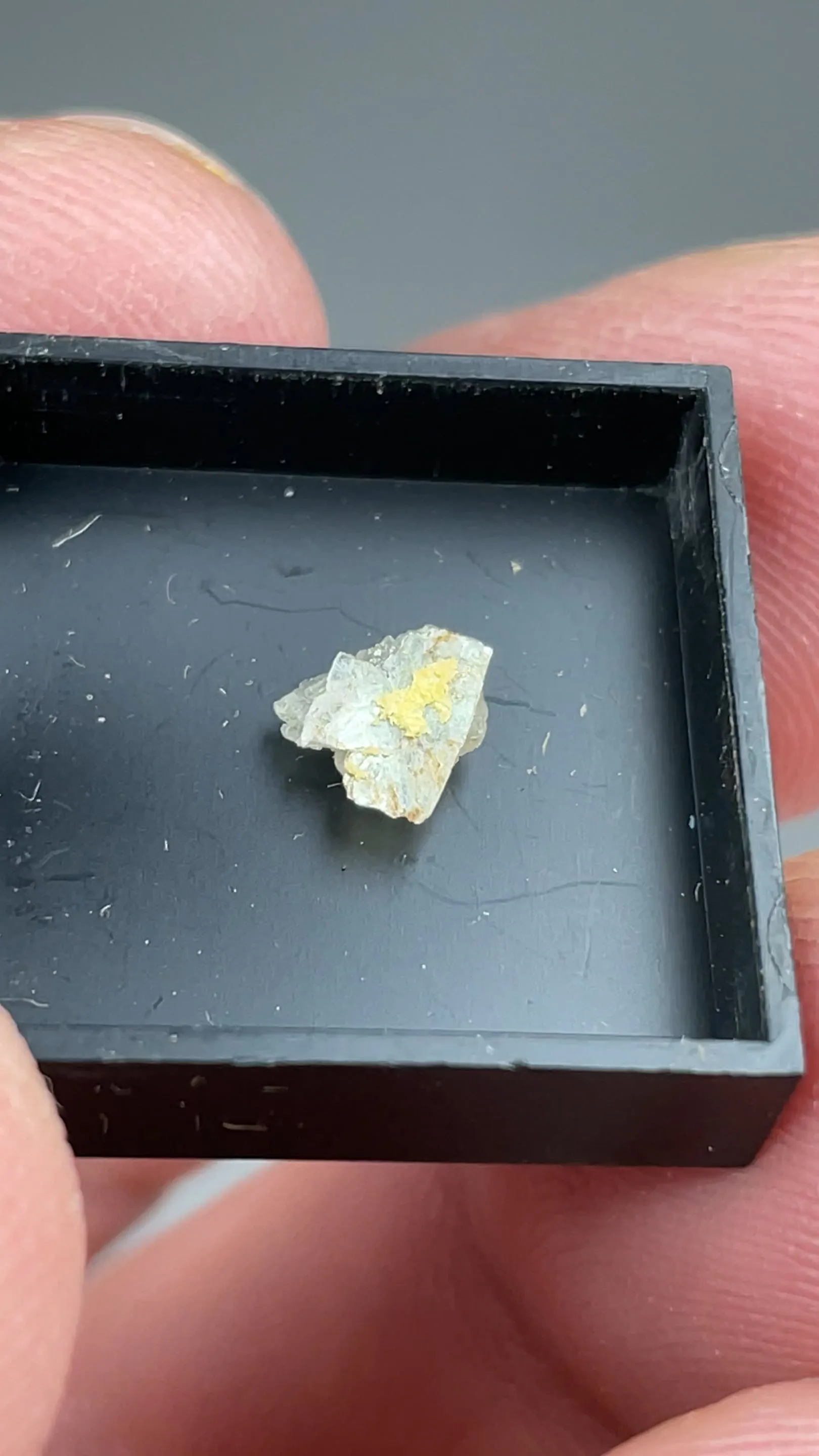 Carlosbarbosaite with Albite - image 2