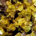 Carnotite - image 1