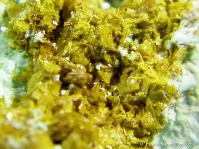 Carnotite on Chrysocolla image