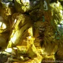 Carnotite With Chrysocolla - image 2