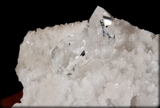 specimen video