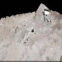 specimen video