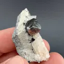 Carrollite - image 1