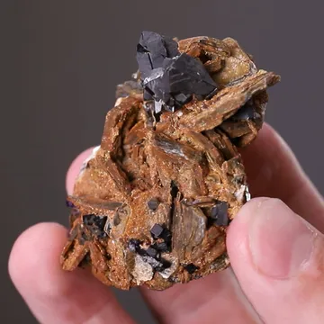 Cassiterite and Fluorite on Zinnwaldite